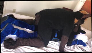 Video 1106062275: fetish doggy style, fetish anal gay sex, gay sex slim, fucking slim