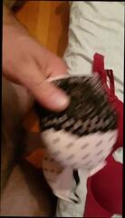 Video 256030801: old gay man cum, cum gay cute, friends daughter, cumshot