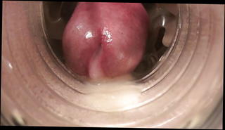 Video 1571289231: fleshlight moaning, fleshlight cumshot, inside fleshlight, gay