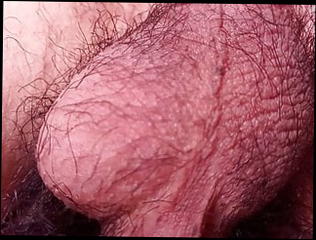 Video 1575982491: hairy twink gay, gay twink massage, massaging asian twink, hairy pov, hairy balls gay, hairy amateur asian teen, twinks big balls, huge gay twink, gay twink plays, testicle massage, hairy teen hd, hairy boy, sexy hairy, hairy nuts, alone twink, young twink lovers, gay porn, boy hand