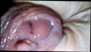 Video 273996001: webcam masturbation gay, amateur webcam masturbation, amateur man masturbates, amateur latino gay, cock pussy, dick hole