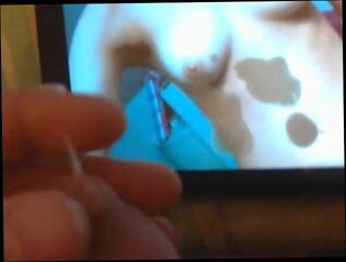 Video 235378601: gay man cum, tit wank