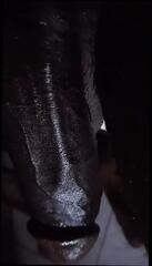 Video 1623572801: bbc gay porn, gay bbc blowjob, bbc big black cock, bbc homemade, bbc pornstar, blacked bbc hungry, hole bbc, african bbc, bbc hd