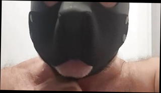 Video 1445837601: amateur gay, amateur dogging, gay hd