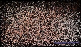 Video 180526301: teen girl porn, porn straight teen, porn cute teen, young cute teen girl, girl first porn, old young porn teen, redhead teen girl, naughty teen girl, college students, student guy