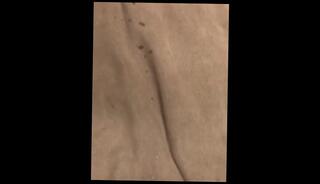 Video 1575581483: solo male masturbation pov, pov solo cumshot, fetish solo masturbation, solo male masturbation cum, amateur pov cumshot, huge cum load pov, massive solo cumshot, long pov