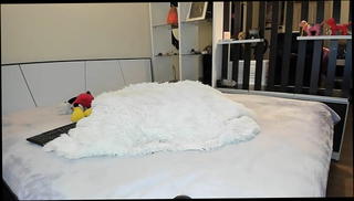 Video 1550117201: trans pov, shemale pov, webcam pov, asian pov, hd pov