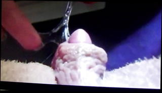 Video 975727901: best shemale, mature shemale