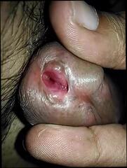 Video 350031301: lady cock, gay man cock, mature cock