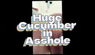 Video 1654363881: masturbation prostate, prostate toy, anal prostate, prostate sex, gay prostate, man prostate, sex toy german, anal sex hd, cucumber masturbation, thick masturbate, anal insertion