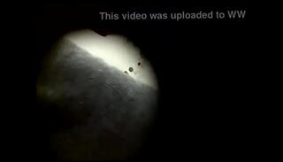 Video 227417515: gay cum, bathroom cum