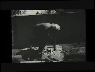 Video 96811201: vintage softcore, softcore babes, vintage straight, softcore blonde, hole babe