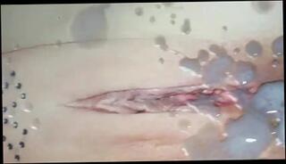 Video 66761101: gay cunt, cunt spunked, man cunt, gay load