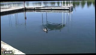 Video 550673395: big booty teen slut, big ass booty babe, big booty brunette slut, big booty hardcore, big booty rough, perv spies, wankz