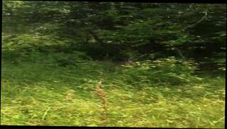 Video 196889301: gay masturbation cum, gay outdoor cum, cum outside