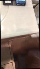 Video 314491201: solo handjob cumshot, gay solo handjob, solo man cumshot, solo hd