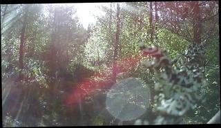 Video 1571278321: naked gay, exhib naked