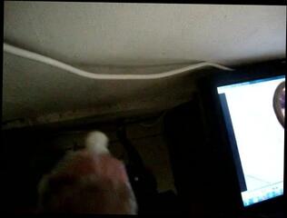 Video 277909501: condom jerk, gay condom, condom hot, gay man jerking