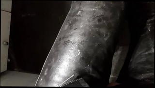 Video 1566410231: gay masturbation cum, leather pants cum, cum together