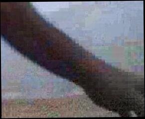 Video 173544601: gay man masturbating, beach masturbation