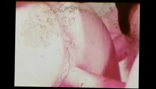 Video 290265685: retro hardcore, vintage erotica, model hardcore, retro fuck, vintage blowjob, deep retro, retro loving