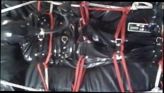 Video 1546519401: bondage sex bdsm, bdsm gay bondage, bondage skinny, bondage sex toys, arse