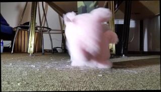 Video 1468469603: fetish solo, solo amateur toys, solo male toy, crush fetish, fetish star, super solo