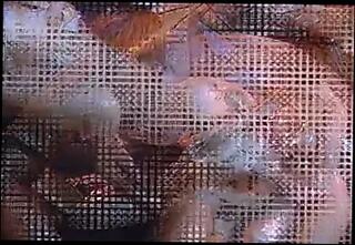 Video 199385901: fingering submissive, fingering pussy spanking, anal fingering spanking, submissive anal sex, anal fingering cumshot, fingering shaved pussy, fingering big pussy, submissive straight, cut fingered, secret fingering, haired submissive, long fingers, finger job, group fingering