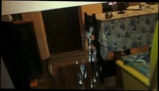 Video 119708601: amateur gay masturbation, amateur man masturbates, mirror masturbation