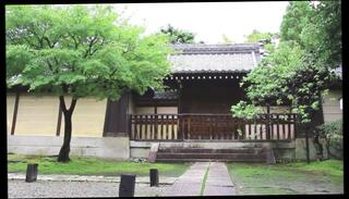 Video 199428501: porn outdoor amateur, shemale porn, lingerie shemale, stockings shemale