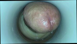 Video 360331601: masturbate cum cam, amateur cam masturbation, cock masturbation cum, cock big cum masturbation, gay masturbation cum, cum cam man, amateur masturbation hd