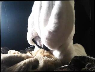 Video 1599470451: fetish gay solo, fetish sex toy, gay fetish cumshot, solo amateur toys, homemade fetish sex, gay cum solo, double cumshot, fetish european, german fetish