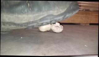 Video 1620928543: feet fetish solo, male feet fetish, amateur solo male, boots feet, feet trample, feet crush, dirty boots