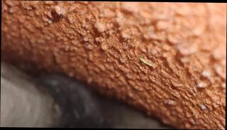 Video 1608929171: solo cock massage, solo masturbation feet, teen solo feet, massage teen gay, solo big cock masturbation, pornstar masturbating solo, indian cock massage, solo masterbation, young gay massage, solo masturbation hd, boy masterbating, gay locker