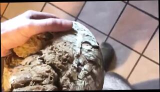 Video 1589869041: toy fetish cock, fetish sex toy, fetish gay sex, fetish gay masturbation, fetish young gay, big cock fetish, fetish handjob, fetish italian, white fetish, fetish european, public fetish