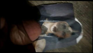 Video 1570435401: massage piss, massage handjob blowjob, piss gay cock, gay man pissing, big cock pissing, piss shower, pissing hd