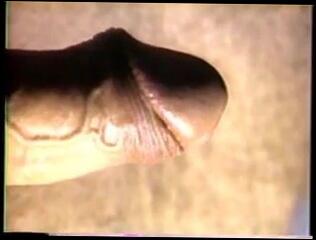 Video 176863901: hairy uncut gay, hairy uncut bear, gay porn uncut, hairy bear blowjob, hairy gay man, love uncut