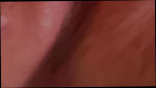 Video 980776101: squirting pussy farts, squirting pissing pussy, girl squirting pissing, pissing peeing girls, squirting pussy masturbation, two girls farting, pee straight