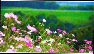 Video 1610322921: gay gangbang porn, big cock gangbang, dirty talking hot, bangladeshi porn, fucking