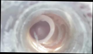 Video 395135701: solo cumshots gay, solo man cumshot