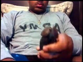 Video 41227001: bbc masterbation, bbc cumshot, bbc gay, bbc time, bbc came, man bbc