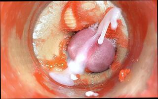 Video 1654043831: bbc anal creampie compilation, twink solo cumshot compilation, twink femboy crossdresser, crossdresser bareback creampie, twinks cum anal compilation, bareback gay anal creampie, cock bbc masturbation solo, gay bareback twink boy, amateur creampie cumshot compilation, big cock creampie compilation, big ass bareback creampie, barebacks young twink gay, solo straight twink, bbc creampies inside, creampie compilation close, creampie compilation hd, solo man masturbation cumshot, anal pov, femboy screams, secret creampie, femboy fantasy, cuck, pov camera, tini