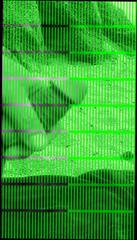 Video 336201201: gay beach cum, gay man cum, flash cum, cum hd