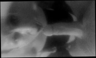 Video 181401801: milf big cock blowjob, straight milf, spring milf