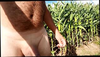 Video 1657414731: masturbation handjob cumshot, cock handjob masturbation, cock nude gay, amateur handjob cumshot, masturbate nude outdoor, mature handjob cumshot, small cock handjob, naked jerking, european amateur cock, handjob hd