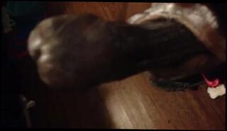 Video 156717301: milking bbc, jerking milking, cock man milk, milking gay, milks big cock, good jerk, cum harder, little cum, cum time