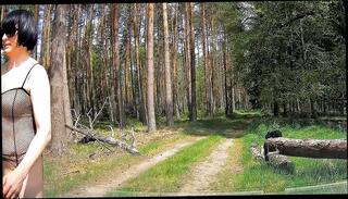 Video 1570052411: sissy strip, shemale sissy, amateur sissy, sissy shoots, sissy outdoor, lingerie sissy, sissy love, sissy public, strip hd