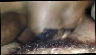 Video 140920001: amateur interracial blowjob, interracial gay blowjob, amateur interracial porn, amateur interracial white, black interracial blowjob, interracial suck, sucking black white dicks