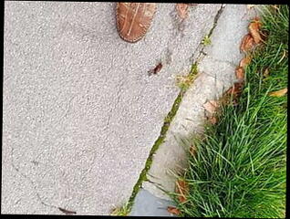 Video 1605182531: fetish massage, massage handjob cumshot, gay massage handjob, amateur gay massage, fetish gay masturbation, tattooed massage, massage german, hd massage, master cum, tattooed muscular gays, crush cum, park cum