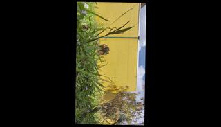 Video 1653197583: solo male sex toy, gangbang sex toys, amateur homemade gangbang, homemade webcam solo, japanese gangbang sex, asian gangbang sex, gangbang behind, celebrity gangbang, sex toy shop, sex toys help